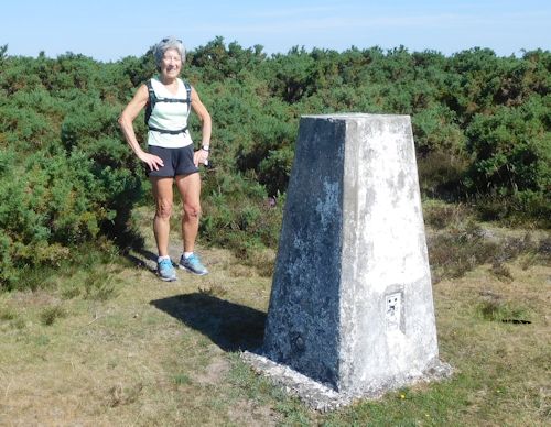 2020 trig